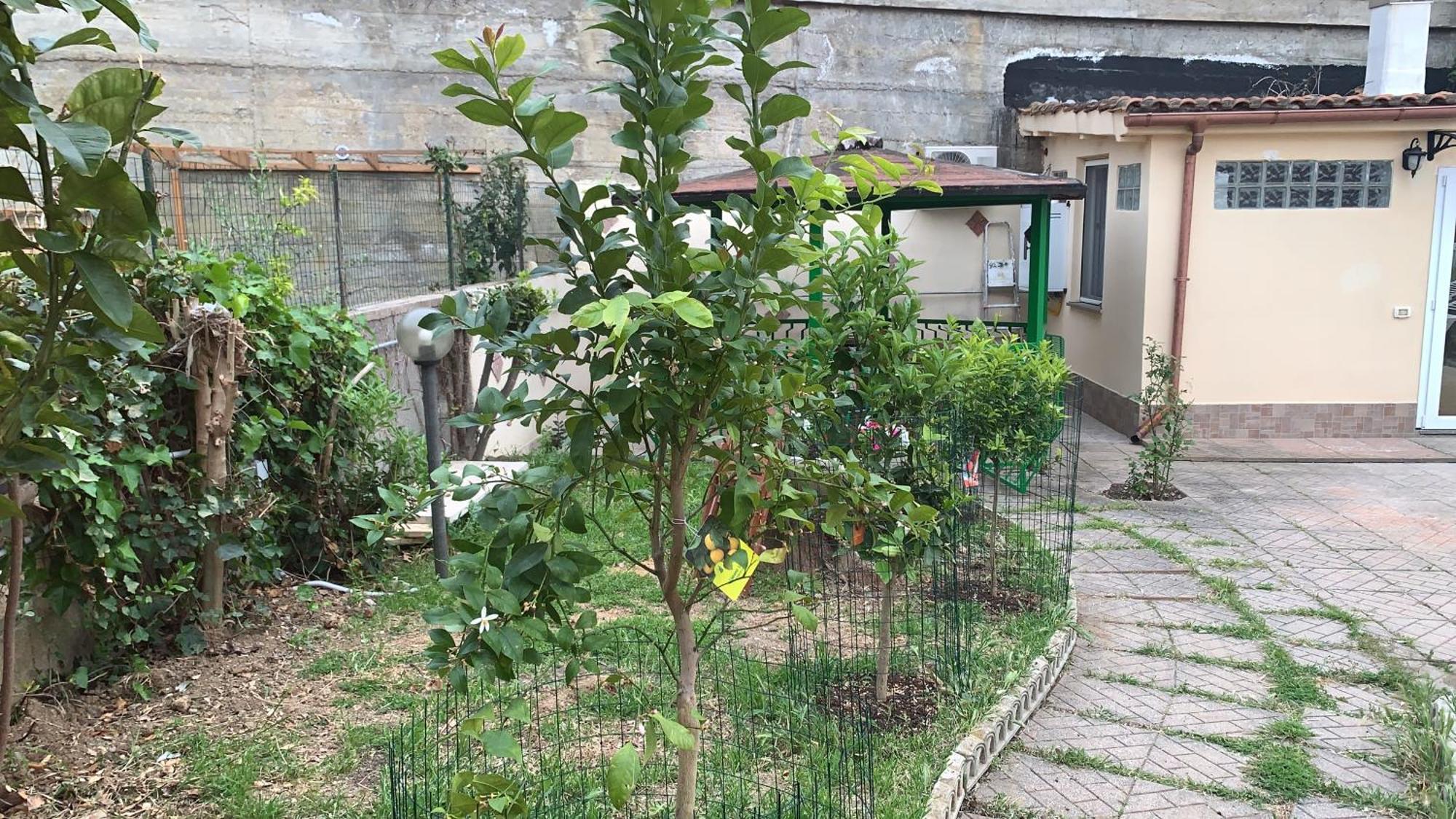 B&B Civitavecchia La Casetta Con Giardino מראה חיצוני תמונה
