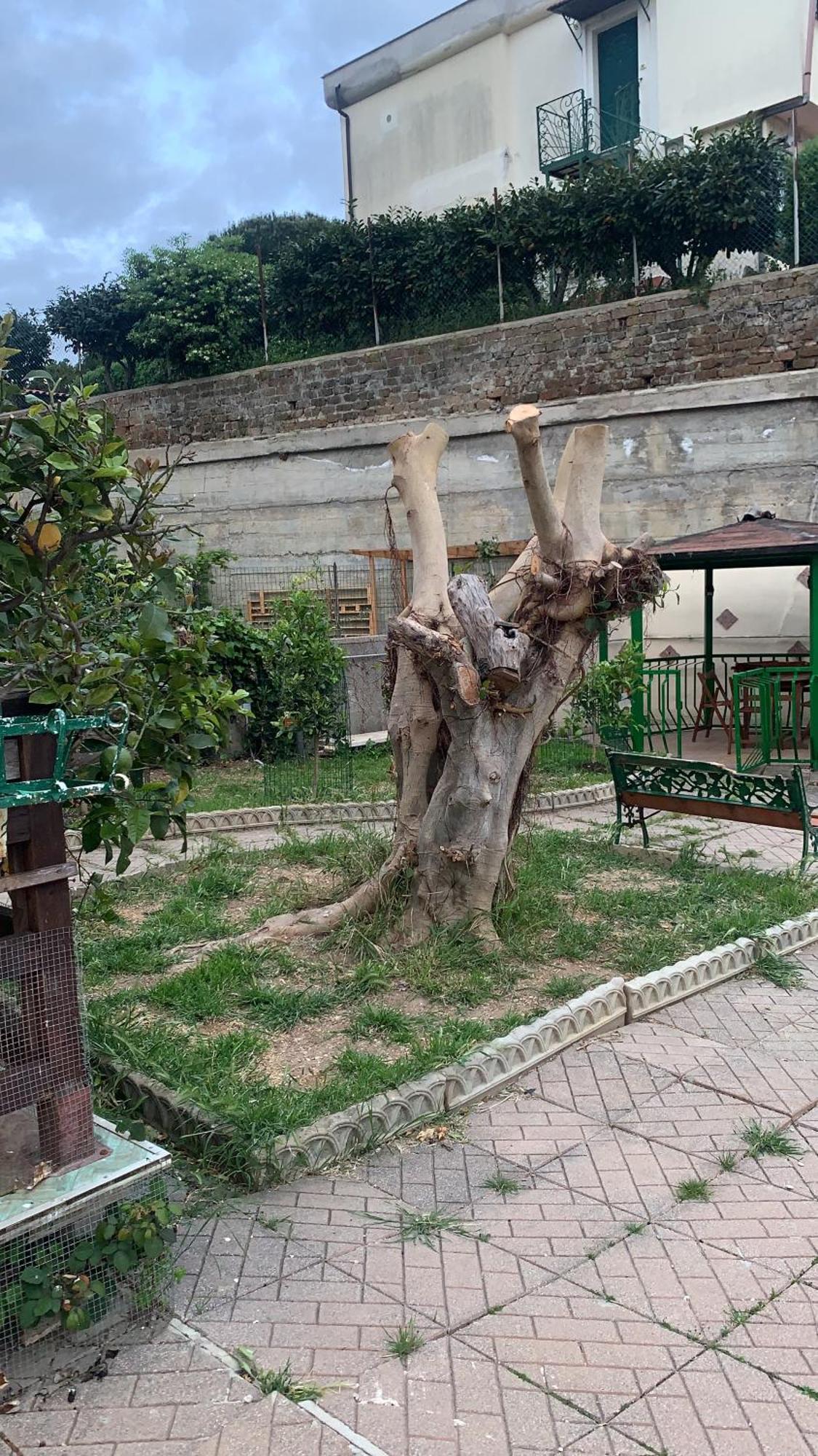 B&B Civitavecchia La Casetta Con Giardino מראה חיצוני תמונה